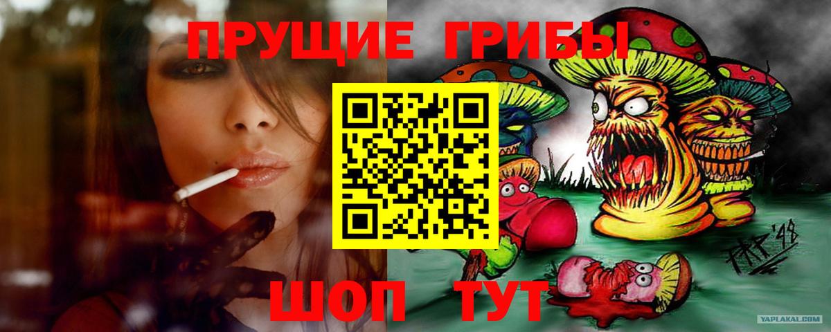 Псилоцибиновые грибы мицелий  Вход с VPN  Ишим 